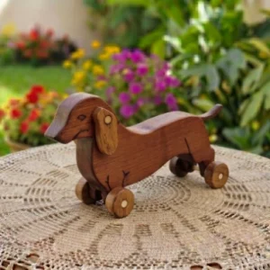 Cachorrinho